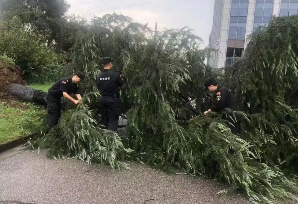 C:/Users/BA/Desktop/風(fēng)雨過后南京保安迅速行動，恢復(fù)安“寧”面貌/1.jpg1